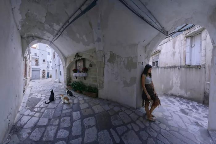 Satriani, Giuseppe: Cats&Girl