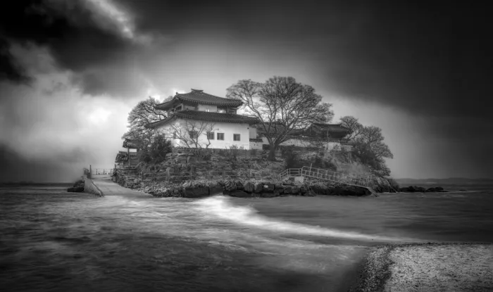 Seo, Tiger: Sanctuary of Solitude