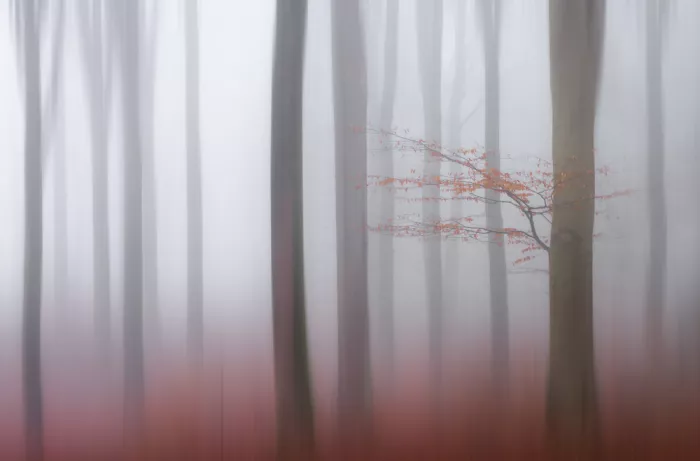 Lee, van Hilda: Ohne Titel