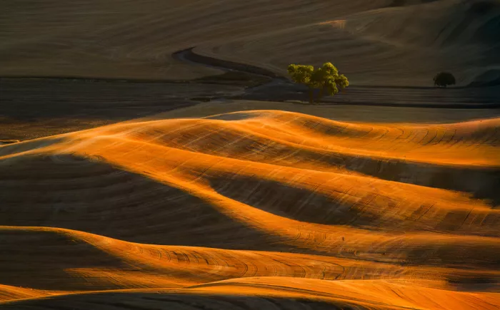 He, Mike: Golden Waves