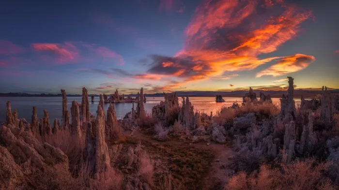 Xu, Mei: Mono Lake at Dawn
