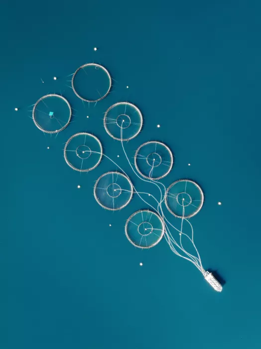 Janyga, Sven: Cercles connectés
