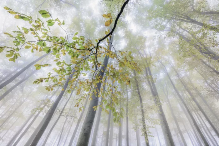 Pavlasek, Tom: When Autumn Slows Time