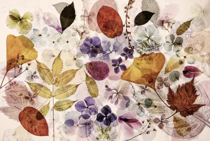 Deelen, van Ellen: Potpourri IV