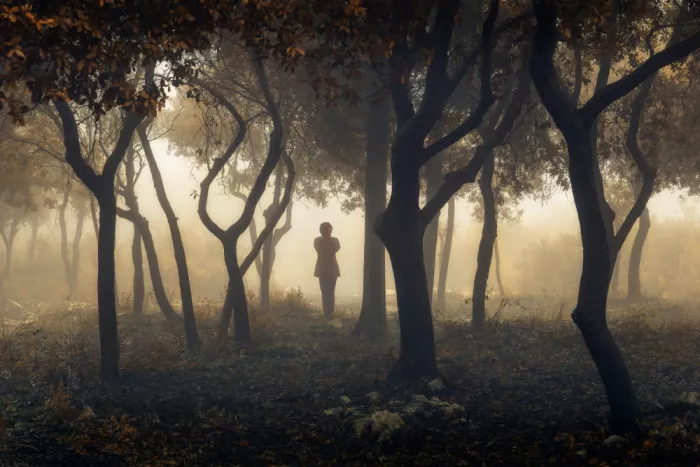 Rosenfeld, Haim: Dance of the Trees