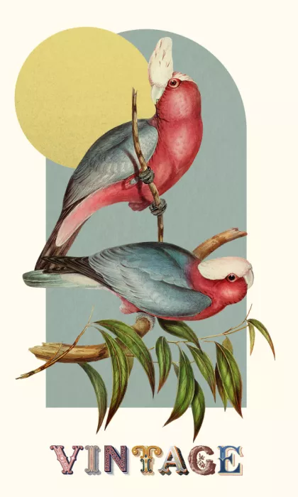 den, van Marja: Oiseaux Vintage