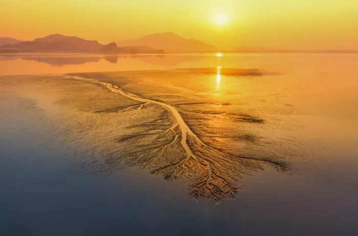 Su, Yuan: In the morning light