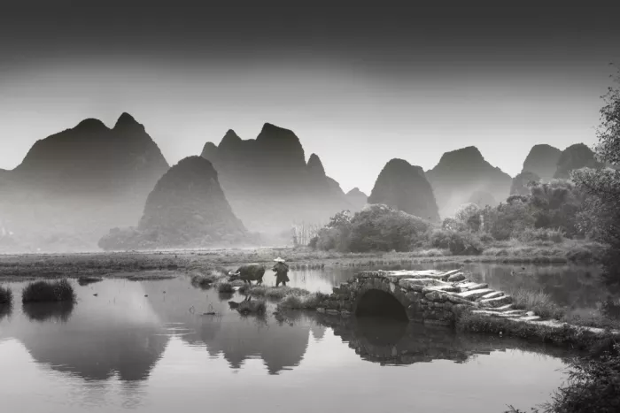 Zhang, Dennis: Attraversamento della terra silenziosa
