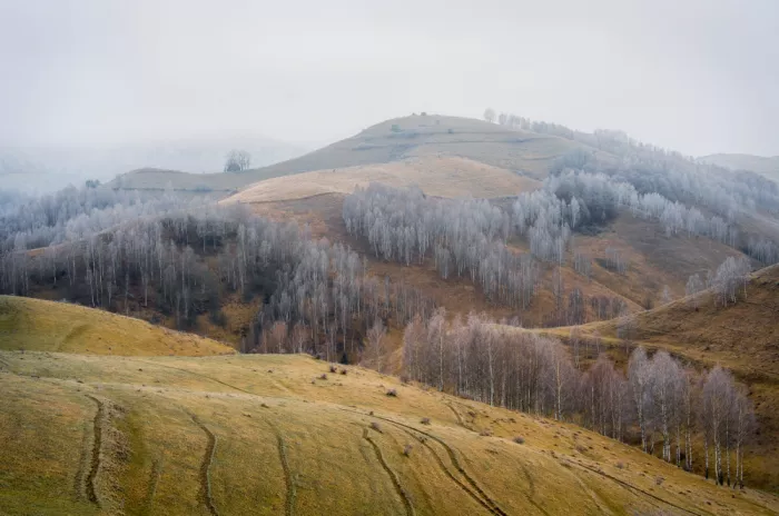 Andrica, Eduard: Seasons