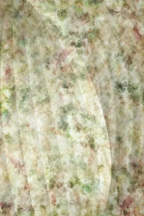 Sillen, Christina: The Flower Canopy