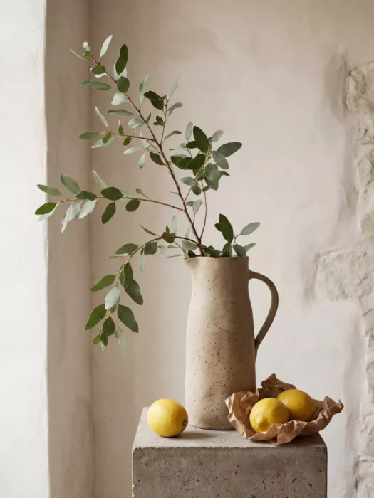Magnusson, Andreas: Leafy Branch and Lemons