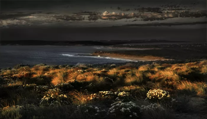 Davidson, Peter: Last of the Sun