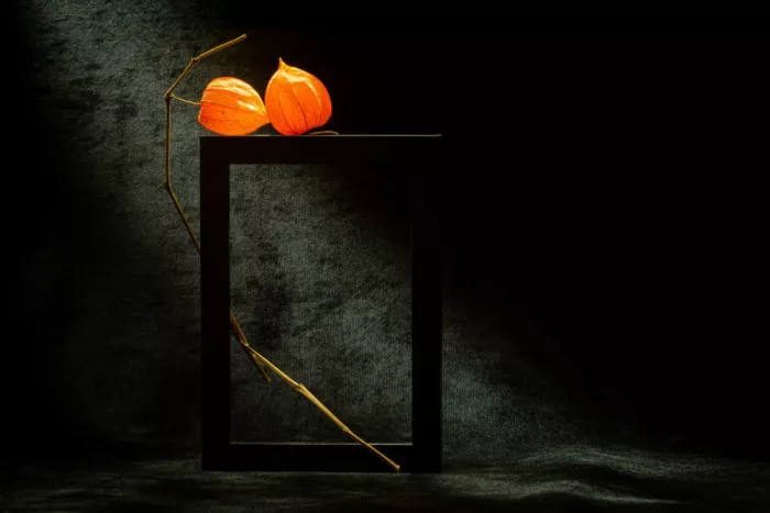 Kopcev, Igor: Stillleben mit Physalis VII