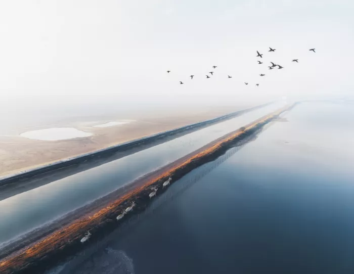 Hongchao, and Gu: Across The Wetland