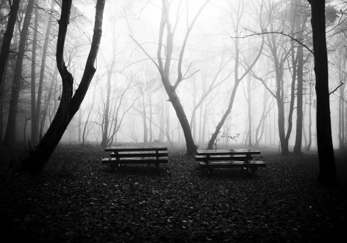 Oncete, Julien: Benches