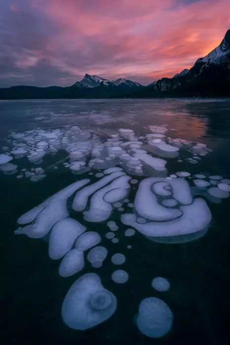 Jacobs, Lydia: Abraham Lake Winter Glow
