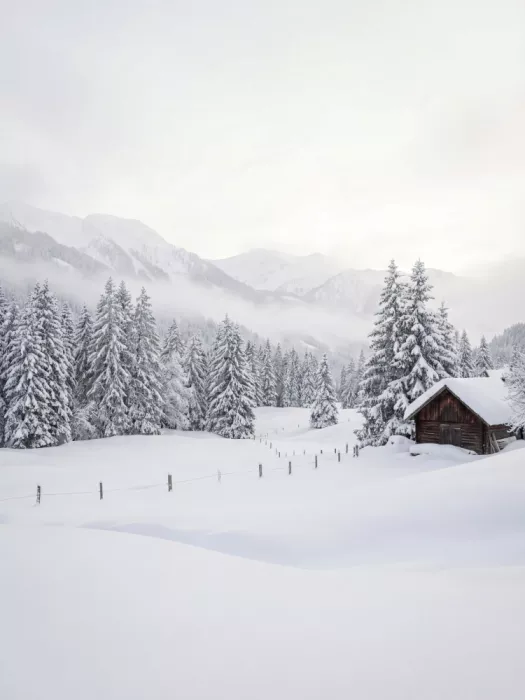 Magnusson, Andreas: Winter In the Countryside