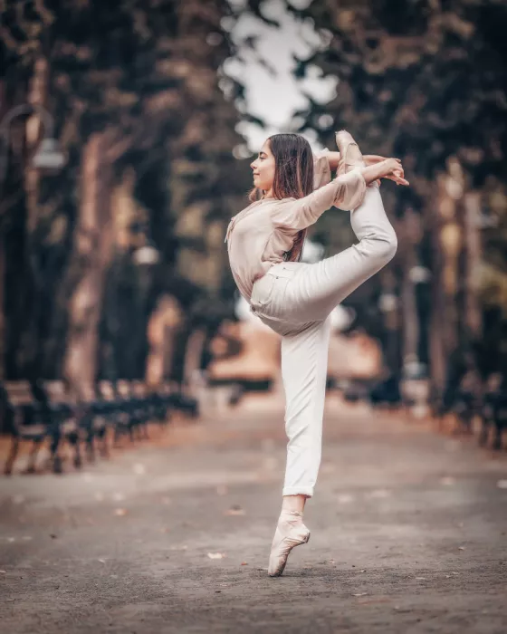 Nanev, Vasil: Ilina