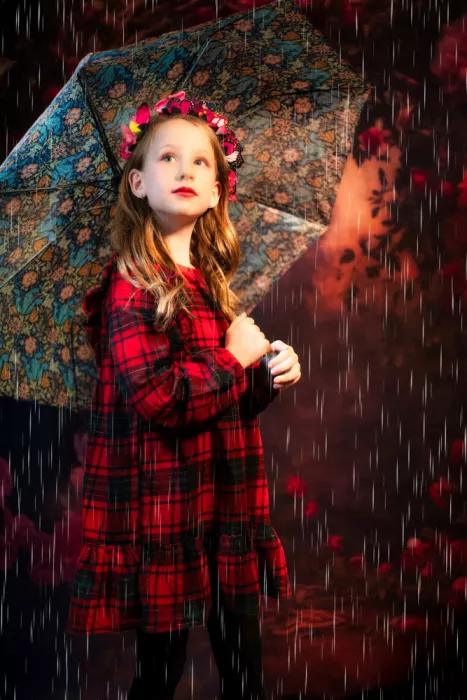 Kershaw, Lee: Nevaeh in the Rain