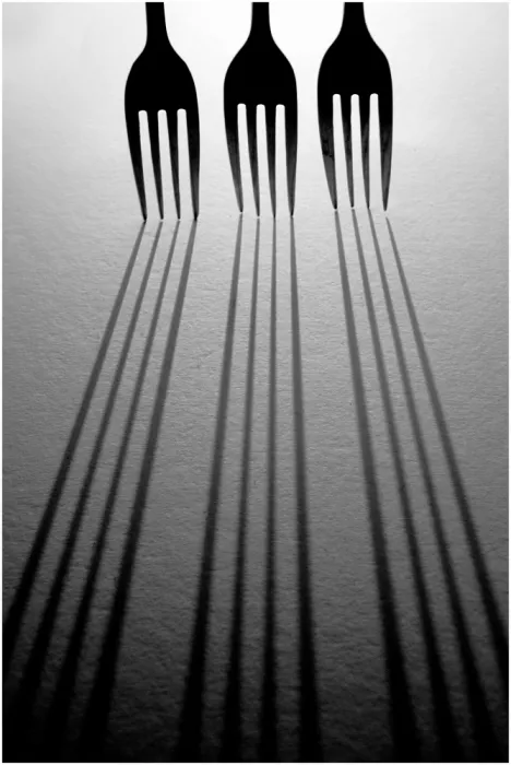 Langerak, Henk: Forks