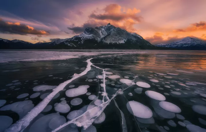 Jacobs, Lydia: Veins of a Frozen World