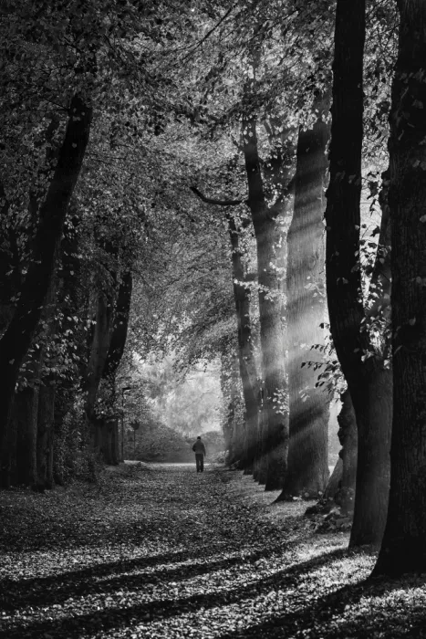 Klesse, Andreas: Sunbeamed
