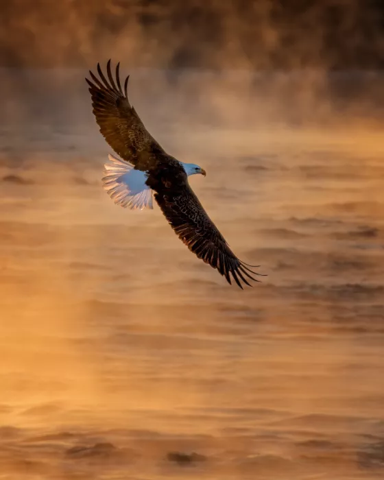 Wu, Q. Chong: Early morning over Mississippi River