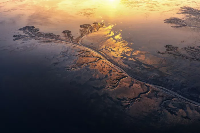 Ji, Shirley: First Light on Tidal Tree