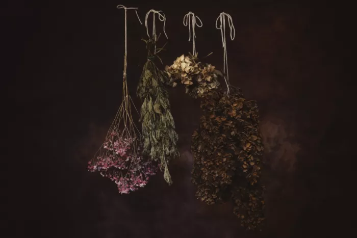 Watkins, Carmen: Dried
