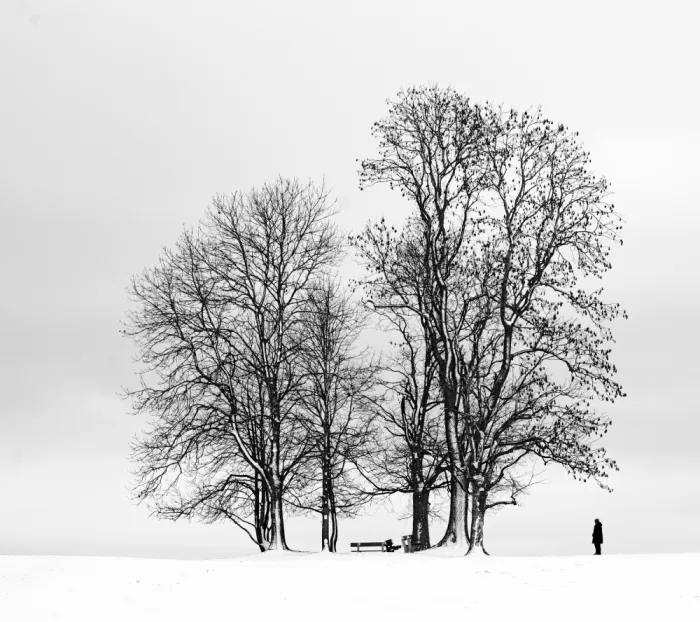 Rank, Peter Hans: winter grey (IV)