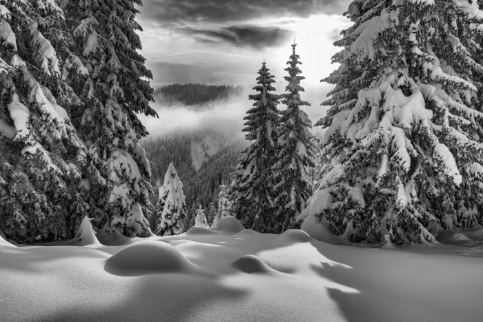 Klabus, Aleš: Peaceful winter beauty