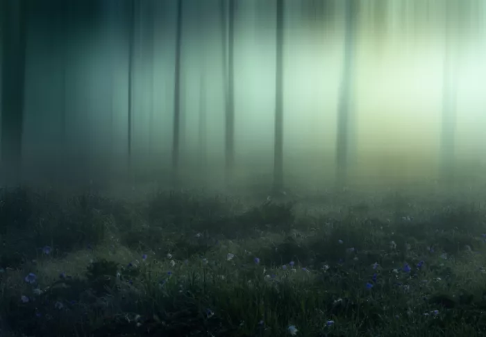 Rosenfeld, Haim: Hidden Light
