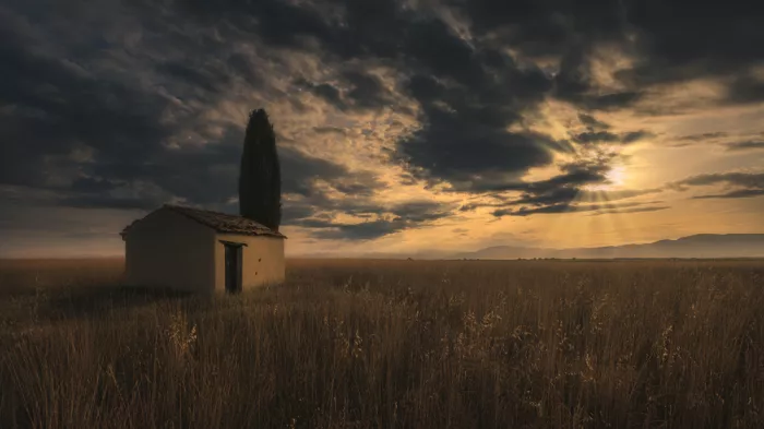 Jimenez, Paco: Valensole Fields