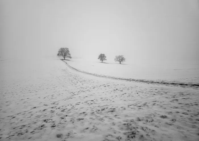 Marcel, Streiff: Brothers in the mist