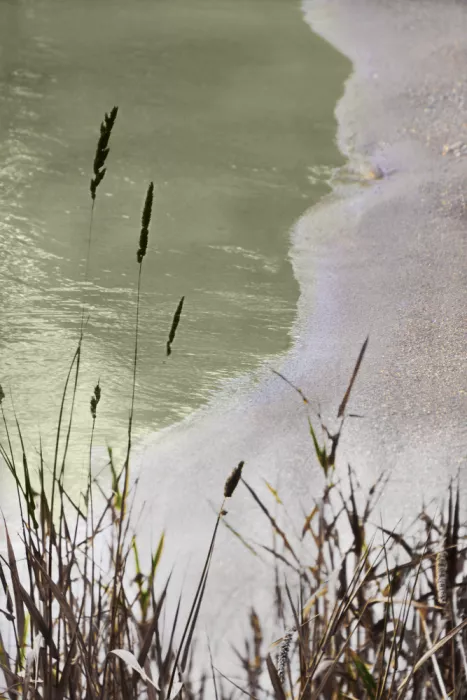 Sillen, Christina: Sage Green Tide