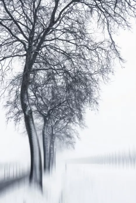 Lee, van Hilda: winter world