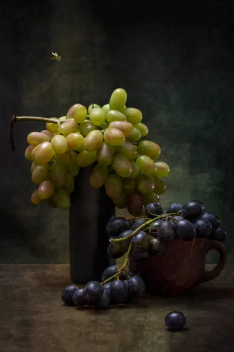 Barkow, Brig: Nature morte aux grappes de raisin mûr et une abeille