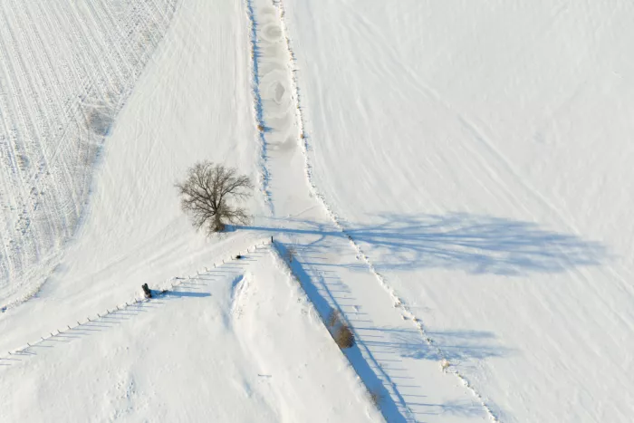 Fan, John: Farm in the Snow