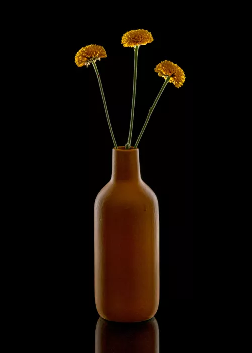 Luo, Louie: Yellow