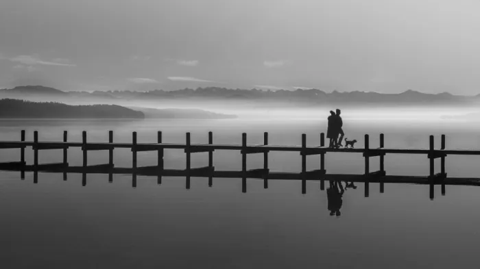 Dauer, Andy: walking the dog