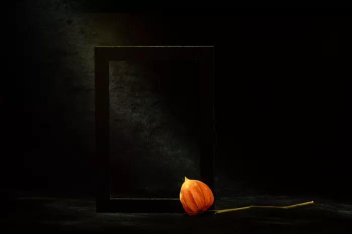 Kopcev, Igor: Stillleben mit Physalis IX