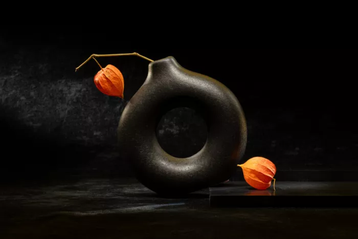 Kopcev, Igor: Stillleben mit Physalis VIII