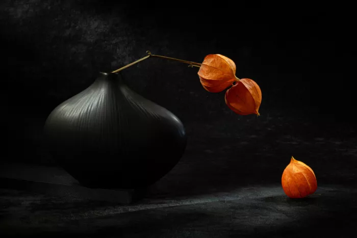 Kopcev, Igor: Stillleben mit Physalis X