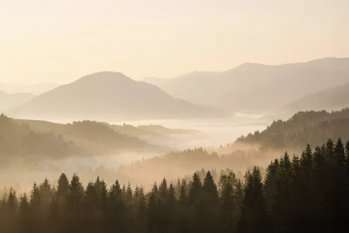 Pienaar, Kathrin: Rolling Hills