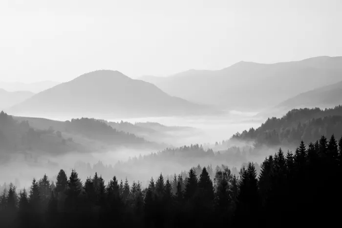 Pienaar, Kathrin: Rolling Hills Bw