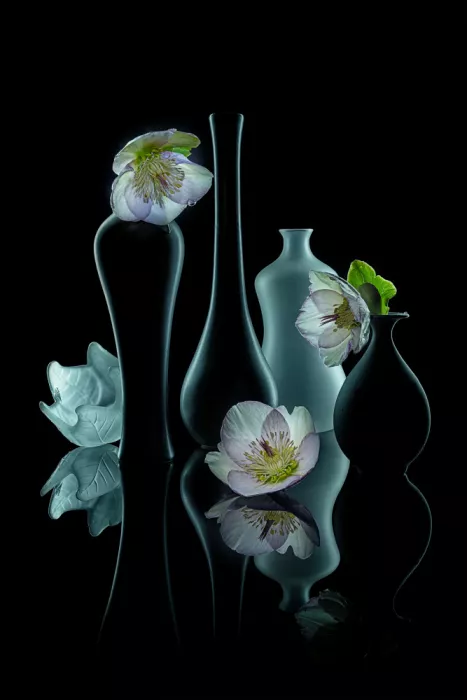 Jacobs, Lydia: Fiori in attesa