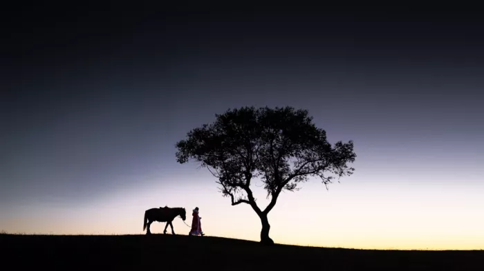 Simoon: Westerly wind, and a horse worn thin