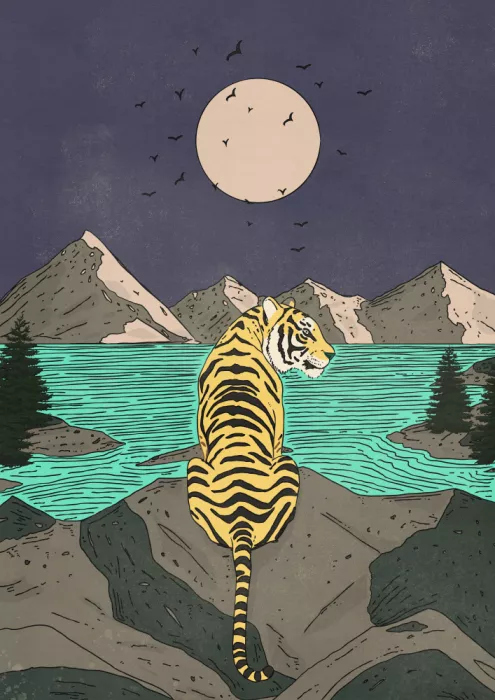 Nicholas: Le Tigre dans la nature sauvage