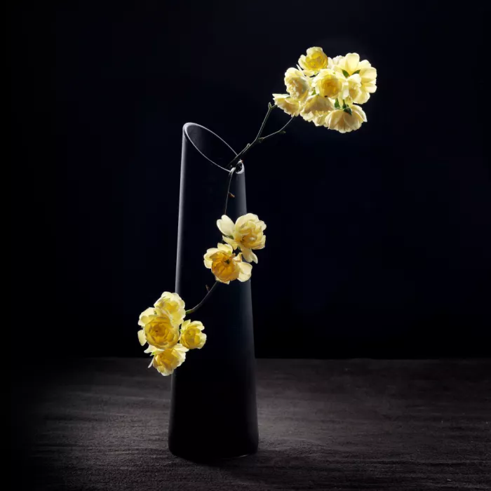Grohovaz, Gaby: Yellow Banksia Rose
