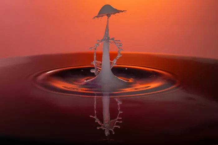 BALANTIC, PETER: Drops 2